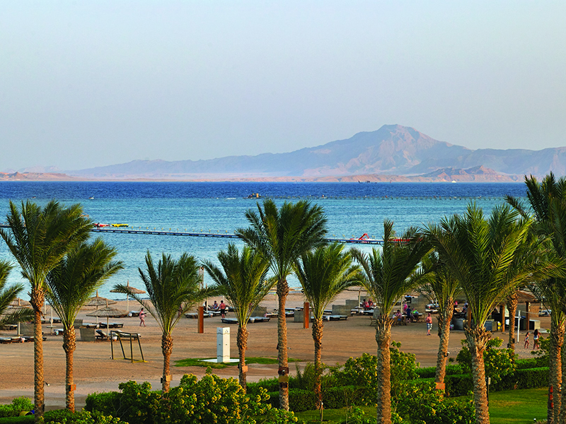 Горящие туры - раннее бронирование в отель Coral Sea Water World 5 - Авантаж-тревел